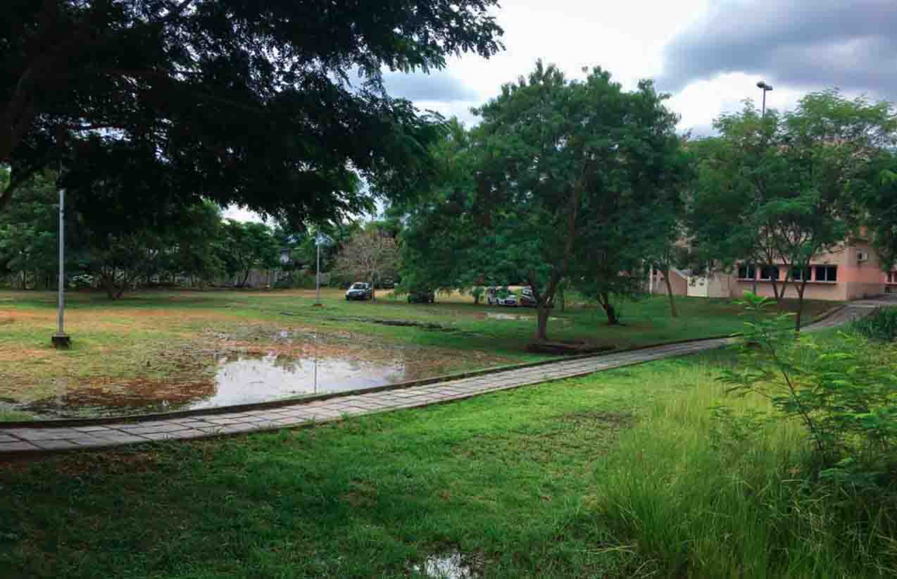 WhatsApp Image 2023-02-09 at 7.02.58 PM